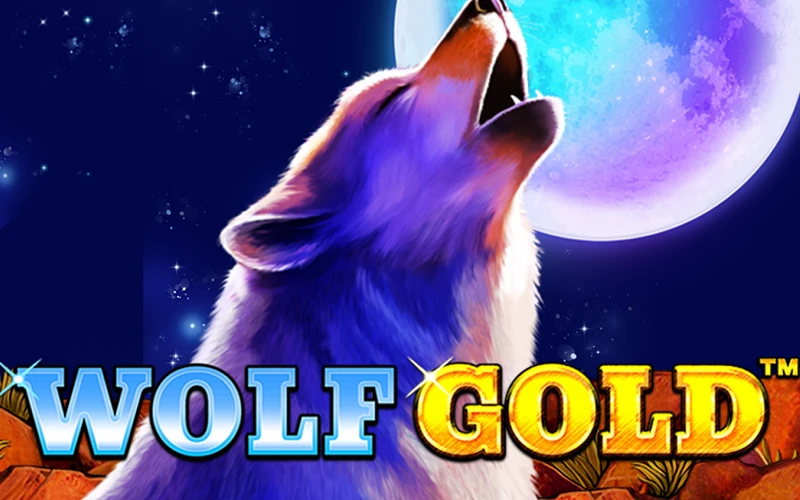 Přejděte do sekce 1w casino a zahrajte si hru Wolf Gold.